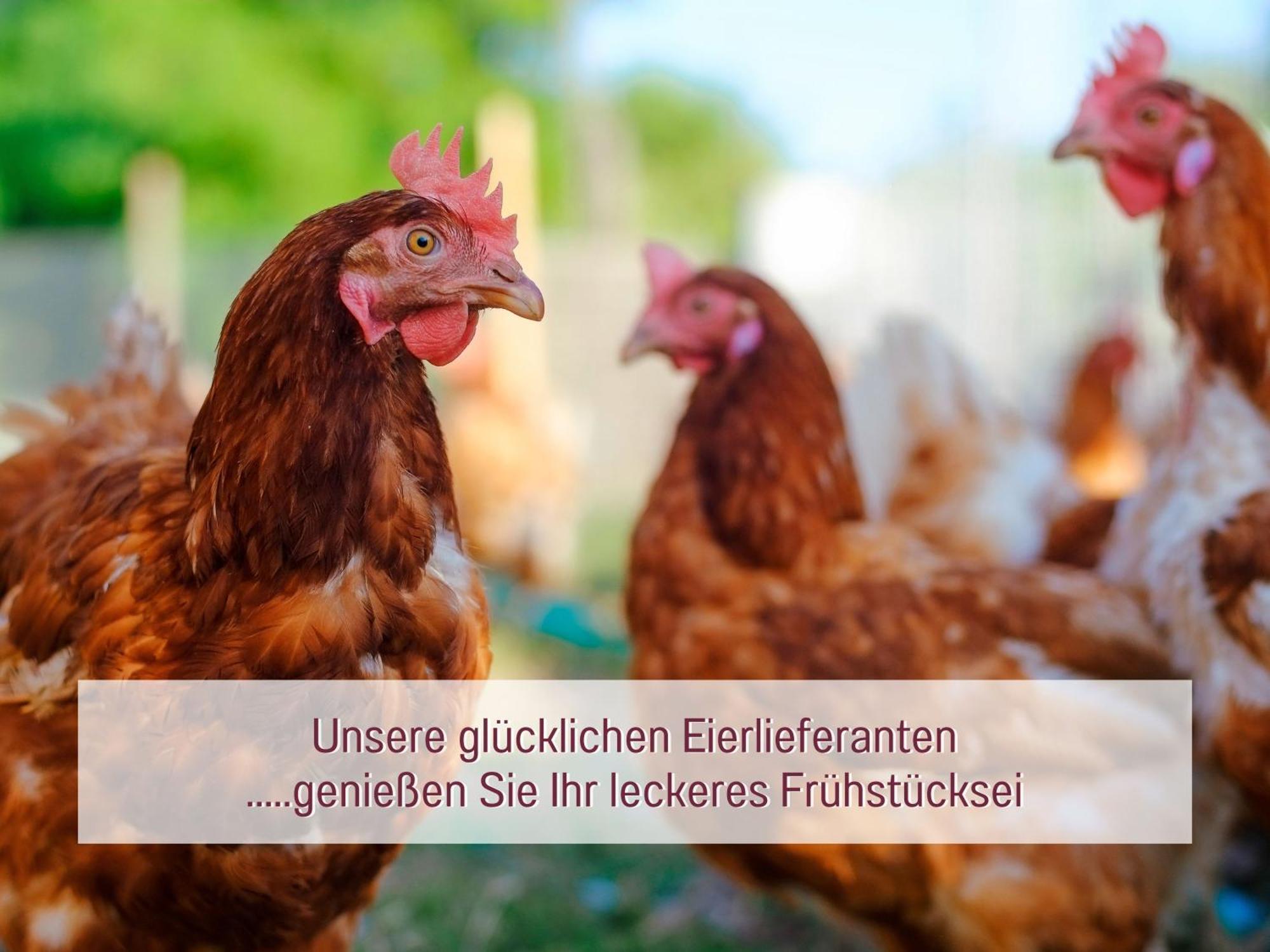 Designerwohnungen "Beim Schmied" In Chiemseenaehe Traunreut Extérieur photo