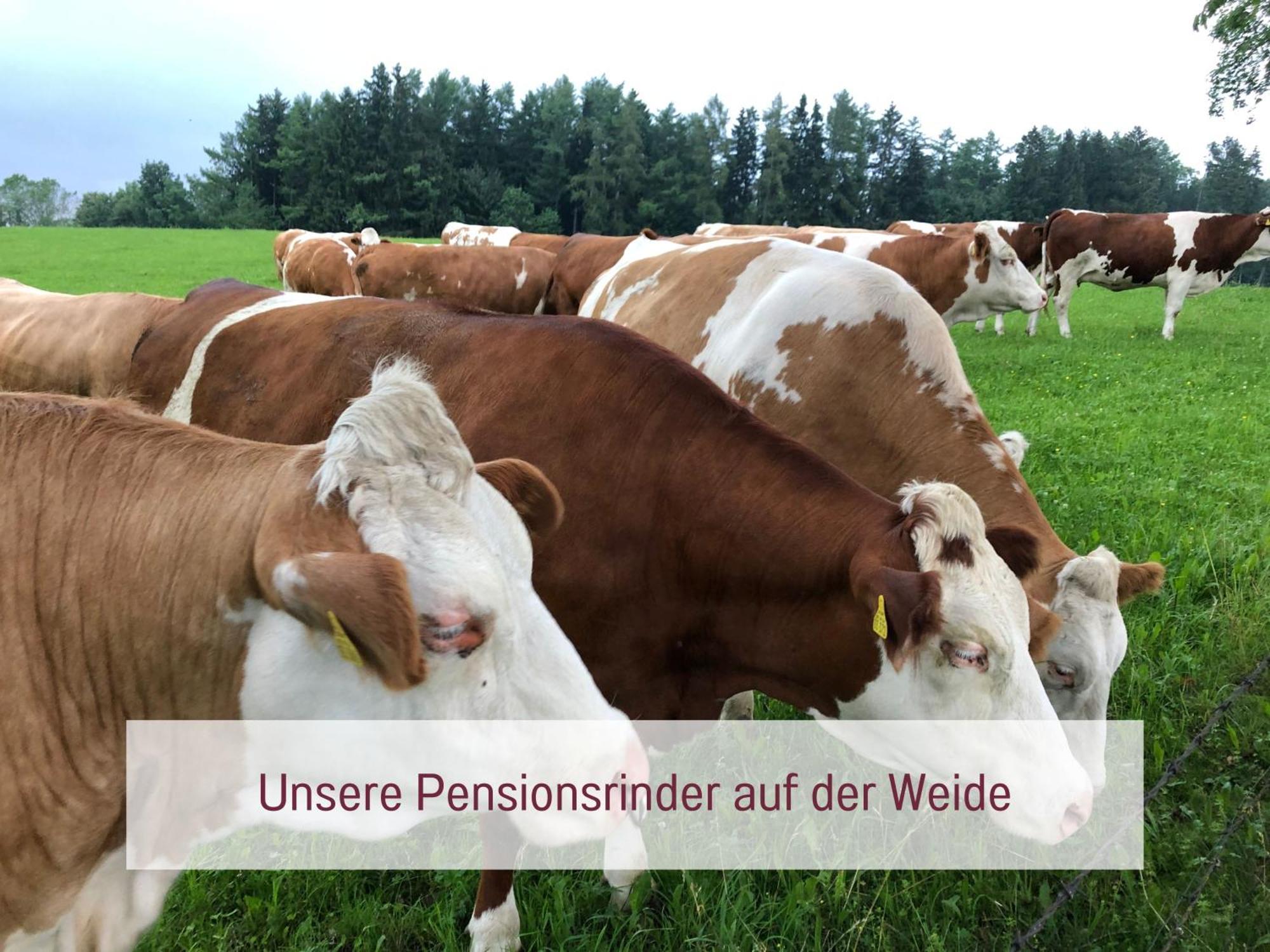 Designerwohnungen "Beim Schmied" In Chiemseenaehe Traunreut Extérieur photo